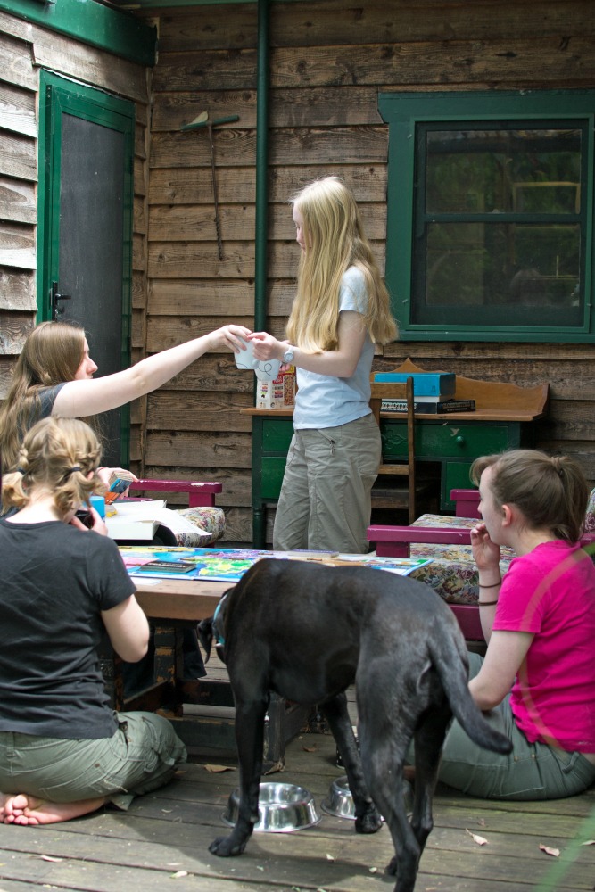 not-the-usual-reason-for-playing-board-games-4